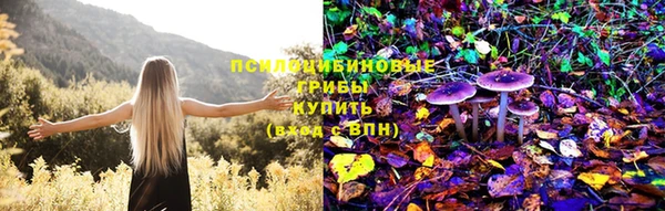 трава Абинск