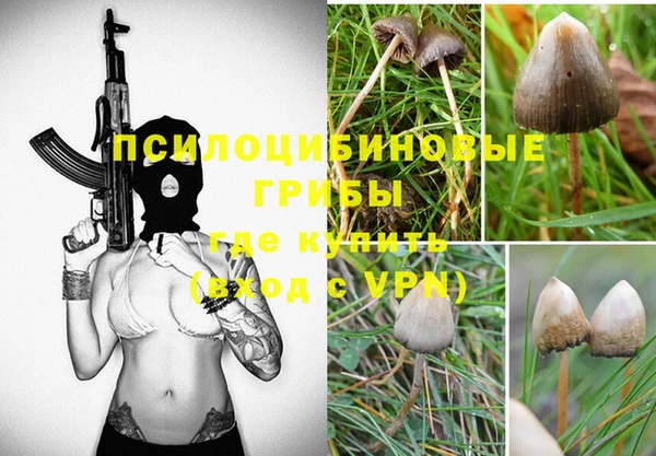 трава Абинск