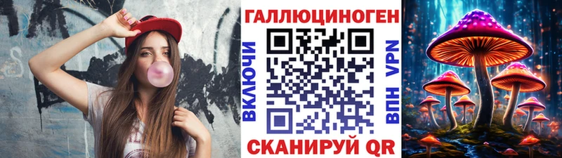 Псилоцибиновые грибы Cubensis  Шимановск 